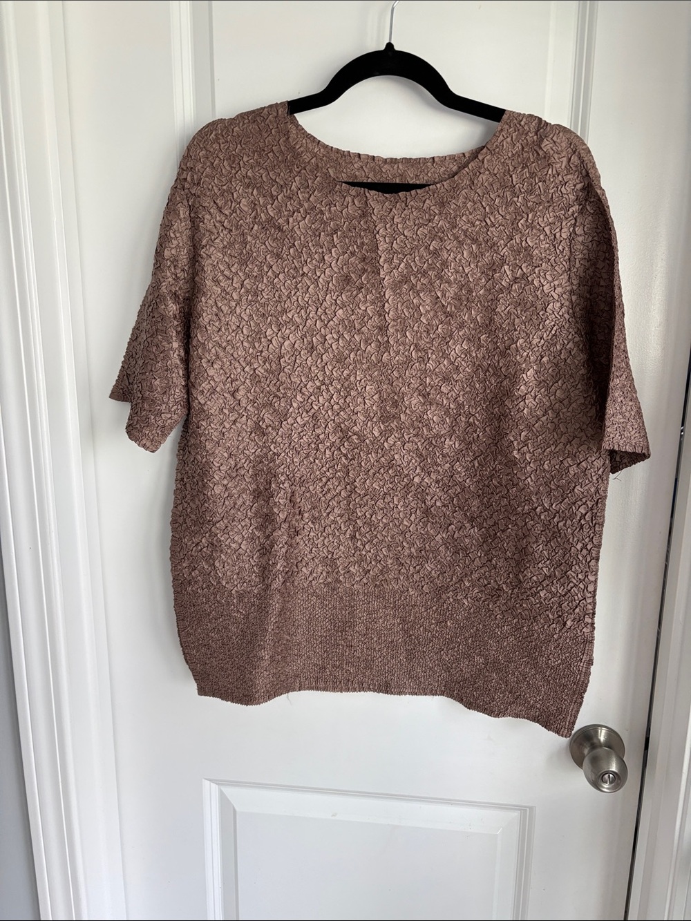 Textured Short Sleeve Sweater Top in Tan